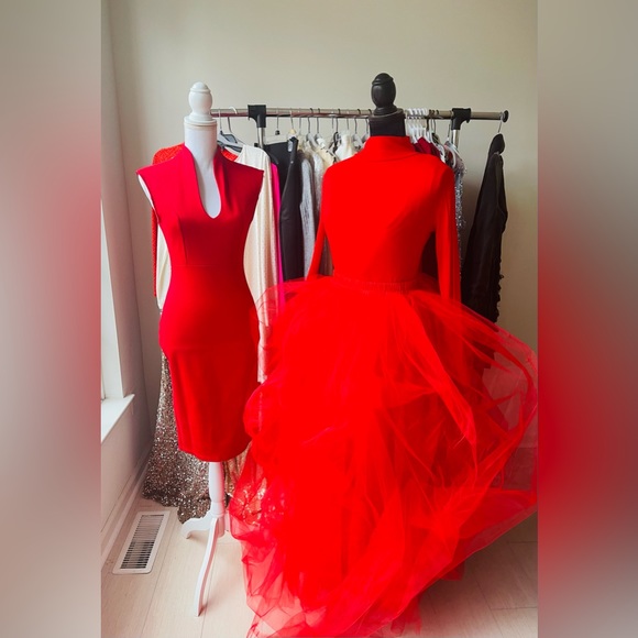 Tulle Ruffle Skirt and bodysuit/Both together! Or elf on the whatever .. - Picture 1 of 3